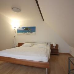 Апартаменты Apartments Swiss Star Zürich-aussersihl Цюрих комната для гостей фото 2
