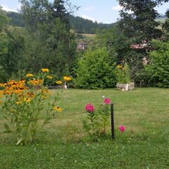 Отель Mechta Guest House детские мероприятия