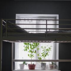 Хостел Ohostel удобства в номере