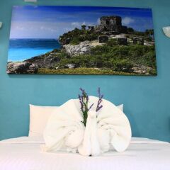 Отель Apart Hotel Tortuga Мексика, Плая-дель-Кармен - отзывы, цены и фото номеров - забронировать отель Apart Hotel Tortuga онлайн помещение для мероприятий