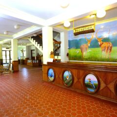 Отель Safari Adventure Lodge Непал, Саураха - отзывы, цены и фото номеров - забронировать отель Safari Adventure Lodge онлайн интерьер отеля фото 3