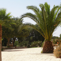 Отель Finca Son Samà пляж фото 2