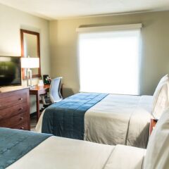Отель Holiday Inn Express Guadalajara Aeropuerto комната для гостей фото 3