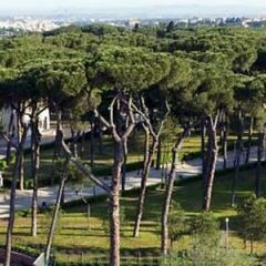 Отель Rome Marriott Grand Hotel Flora Италия, Рим - отзывы, цены и фото номеров - забронировать отель Rome Marriott Grand Hotel Flora онлайн детские мероприятия фото 2