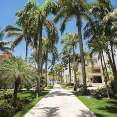 Отель Viva Wyndham Tangerine Resort - All Inclusive фото 4