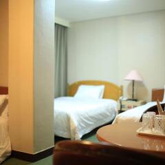 Brown Tourist Hotel комната для гостей фото 4