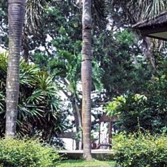 Отель Anahata Resort Samui (Old The Lipa Lovely) спортивное сооружение