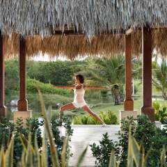 Отель Westin Punta Cana Resort & Club фото 9