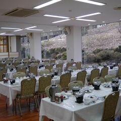Yamanakakohanso Hotel Seikei Яманакако помещение для мероприятий