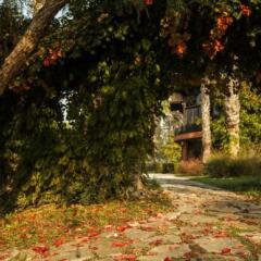 Hotel Berke Ranch&Nature фото 6
