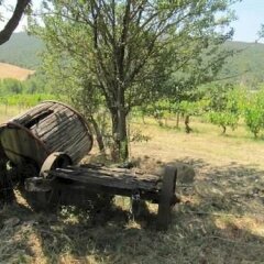 Отель Agriturismo Esperia Кьянчиано Терме