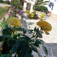 Отель Laza Beach фото 7