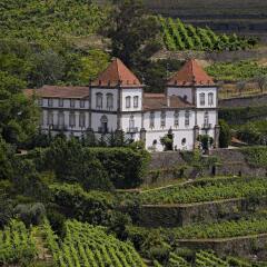 Отель Casa das Torres de Oliveira Португалия, Мезан-Фриу - отзывы, цены и фото номеров - забронировать отель Casa das Torres de Oliveira онлайн фото 14