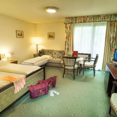 Отель Carinthia Австрия, Гастайнерталь - отзывы, цены и фото номеров - забронировать отель Carinthia онлайн комната для гостей фото 3