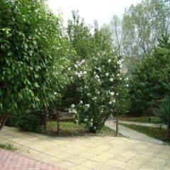 Ofir Boutique Hotel Сандански фото 4
