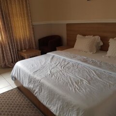 Alpina Lodge in Abuja, Nigeria from 65$, photos, reviews - zenhotels.com room amenities photo 2
