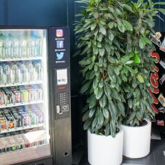 Via Lewisham - Hostel развлечения