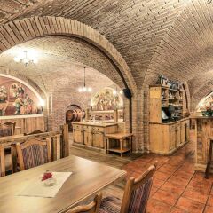 Mercure Sighisoara Binderbubi - Hotel & Spa гостиничный бар