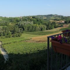 Отель Sorì San Giovanni Изола-д'Асти фото 5