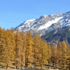 Отель Chesa Albris Bed and Breakfast Швейцария, Санкт-Мориц - отзывы, цены и фото номеров - забронировать отель Chesa Albris Bed and Breakfast онлайн фото 2