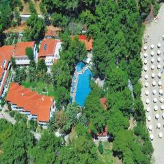 Отель Porfi Beach Hotel Греция, Ситония - 1 отзыв об отеле, цены и фото номеров - забронировать отель Porfi Beach Hotel онлайн пляж фото 2