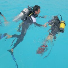 Отель Tahiti Sail and Dive Французская Полинезия, Бора-Бора - отзывы, цены и фото номеров - забронировать отель Tahiti Sail and Dive онлайн фото 4