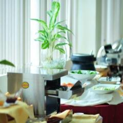 Отель Sammy Hotel Vung Tau Вьетнам, Вунгтау - отзывы, цены и фото номеров - забронировать отель Sammy Hotel Vung Tau онлайн фото 3