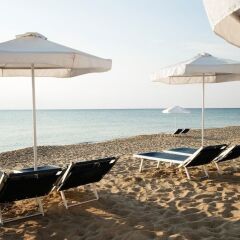 Отель Club Hotel Miramar - Все включено Болгария, Аврен - отзывы, цены и фото номеров - забронировать отель Club Hotel Miramar - Все включено онлайн пляж фото 2