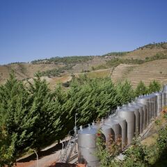 Отель Rural Quinta Do Silval Алижо фото 11