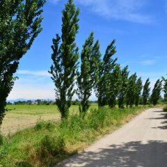 Отель Agriturismo Cascina Maiocca Италия, Медилья - отзывы, цены и фото номеров - забронировать отель Agriturismo Cascina Maiocca онлайн фото 3