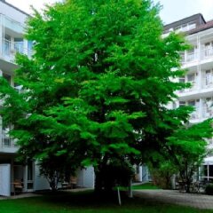 Отель Leonardo Hotel München City West Германия, Мюнхен - 3 отзыва об отеле, цены и фото номеров - забронировать отель Leonardo Hotel München City West онлайн фото 7