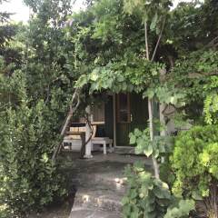 Cumhur Yesilirmak Butiqe Hotel Турция, Дикили - отзывы, цены и фото номеров - забронировать отель Cumhur Yesilirmak Butiqe Hotel онлайн фото 2