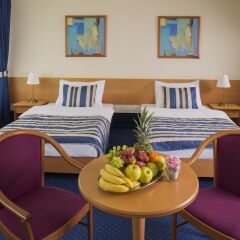 TOP Hotel Praha в номере фото 2