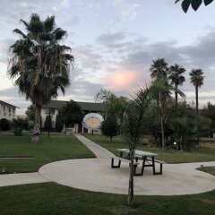 Отель 99 Palms Inn & Suites фото 11