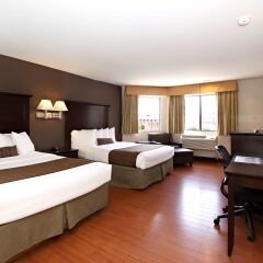 Отель Best Western Plus Dragon Gate Inn США, Лос-Анджелес - отзывы, цены и фото номеров - забронировать отель Best Western Plus Dragon Gate Inn онлайн комната для гостей