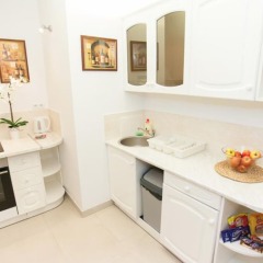 Апартаменты Studio Apartament Centrum Katowice в номере
