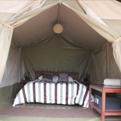Wildebeest Eco Camp in Nairobi, Kenya from 134$, photos, reviews - zenhotels.com guestroom