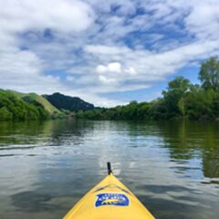 Отель Whanganui River Top 10 Holiday Park