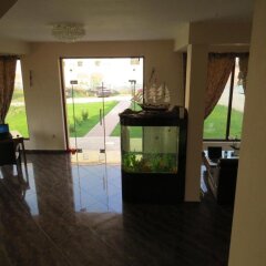 Отель Family Hotel Allegra Болгария, Аврен - отзывы, цены и фото номеров - забронировать отель Family Hotel Allegra онлайн бассейн
