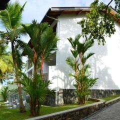Отель Vesma Villas Хиккадува