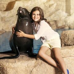Atlantis The Palm in Dubai, United Arab Emirates from 385$, photos, reviews - zenhotels.com pet-friendly