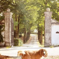 Отель Relais Villa Gozzi B&B Италия, Лимена - отзывы, цены и фото номеров - забронировать отель Relais Villa Gozzi B&B онлайн фото 13