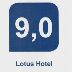 Отель Lotus Hotel Болгария, Солнечный берег - отзывы, цены и фото номеров - забронировать отель Lotus Hotel онлайн с домашними животными
