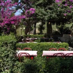 Отель Fonda Las Palmeras фото 3