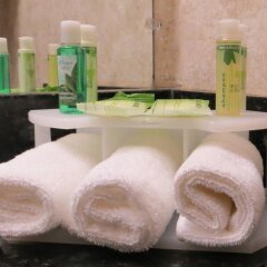Отель Holiday Inn Express Hotel & Suites Columbus Univ Area - Osu США, Колумбус - отзывы, цены и фото номеров - забронировать отель Holiday Inn Express Hotel & Suites Columbus Univ Area - Osu онлайн ванная