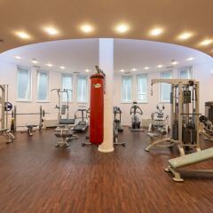 Отель Maison Hotel Болгария, София - 2 отзыва об отеле, цены и фото номеров - забронировать отель Maison Hotel онлайн фитнесс-зал фото 3