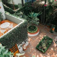 Отель Casa Jacinta Guest House Мексика, Мехико - отзывы, цены и фото номеров - забронировать отель Casa Jacinta Guest House онлайн фото 5