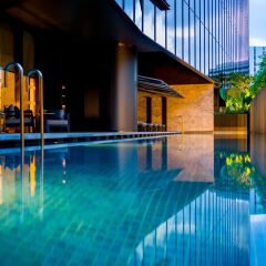Отель InterContinental Singapore Robertson Quay с домашними животными