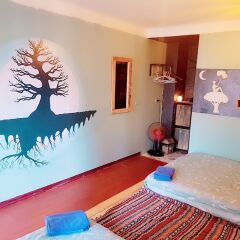 Check In Sapa Hostel and Coffee Шапа комната для гостей
