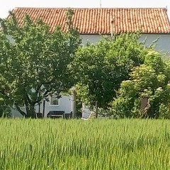 Отель La Porta Stretta Италия, Падуя - отзывы, цены и фото номеров - забронировать отель La Porta Stretta онлайн фото 3